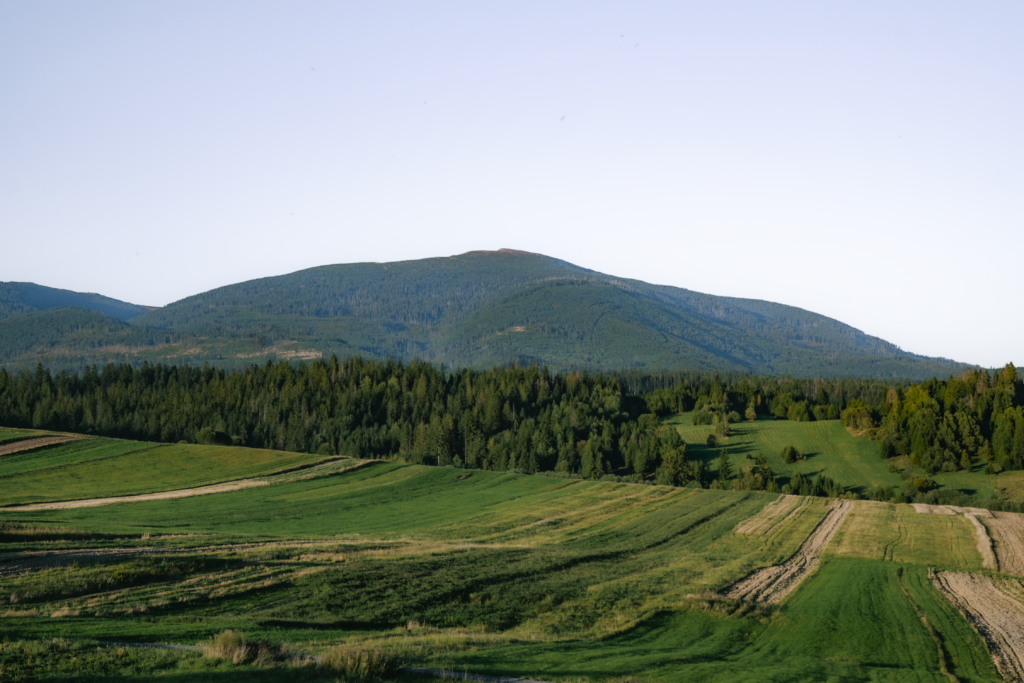 Powrót