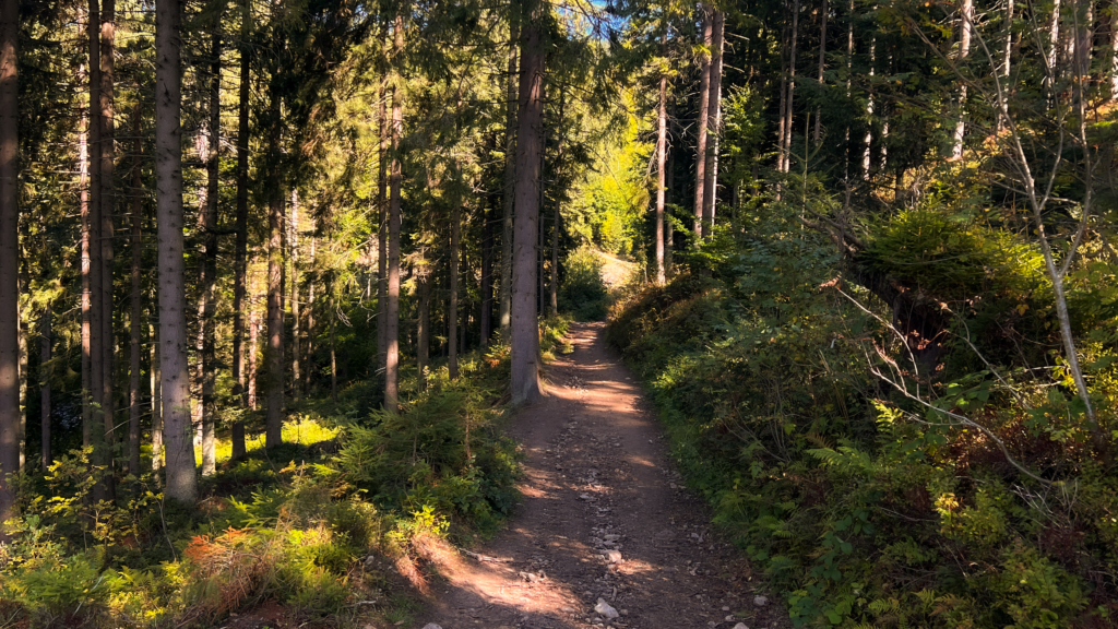 Widok na Tatry