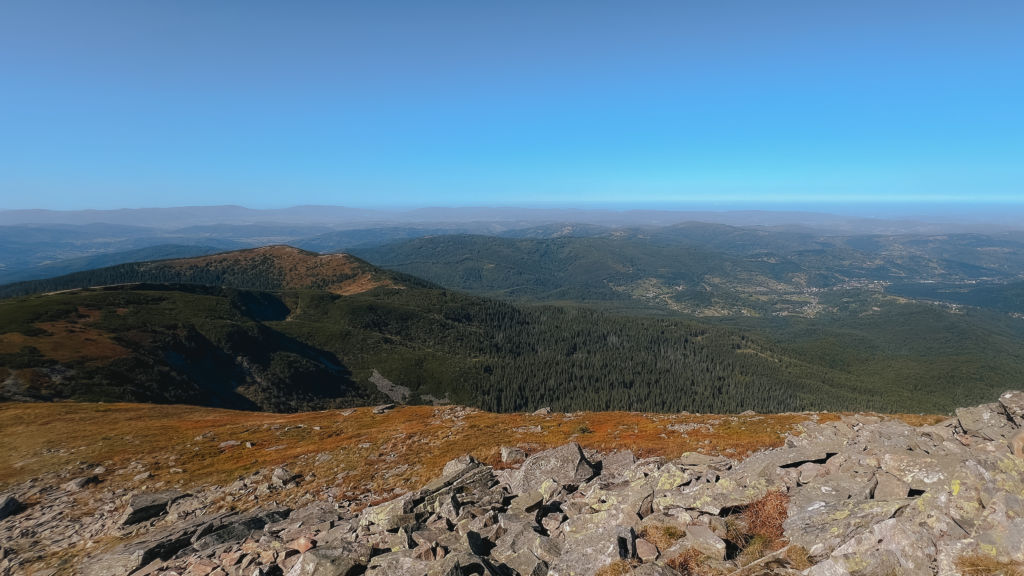Widok